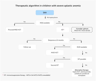 The state of the art in the treatment of severe aplastic anemia: immunotherapy and hematopoietic cell transplantation in children and adults